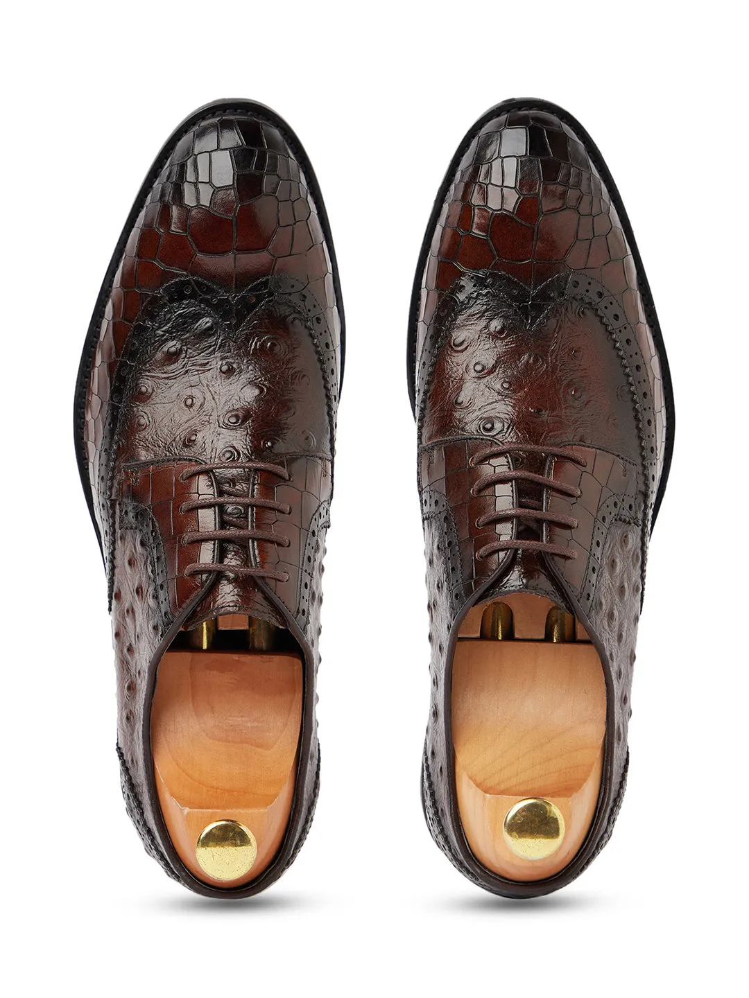 Ostrich Crocodile Oxford - Coffee