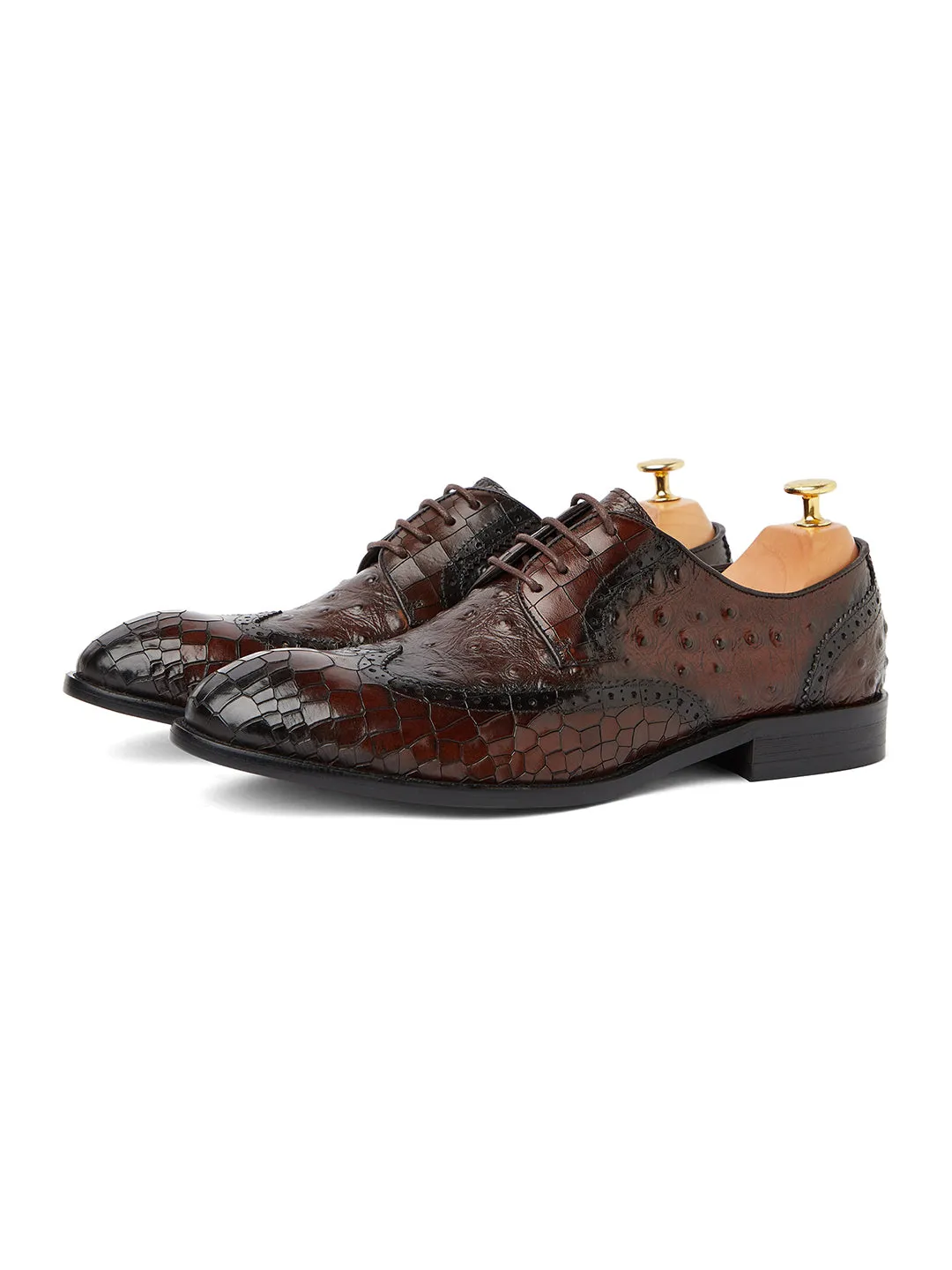 Ostrich Crocodile Oxford - Coffee