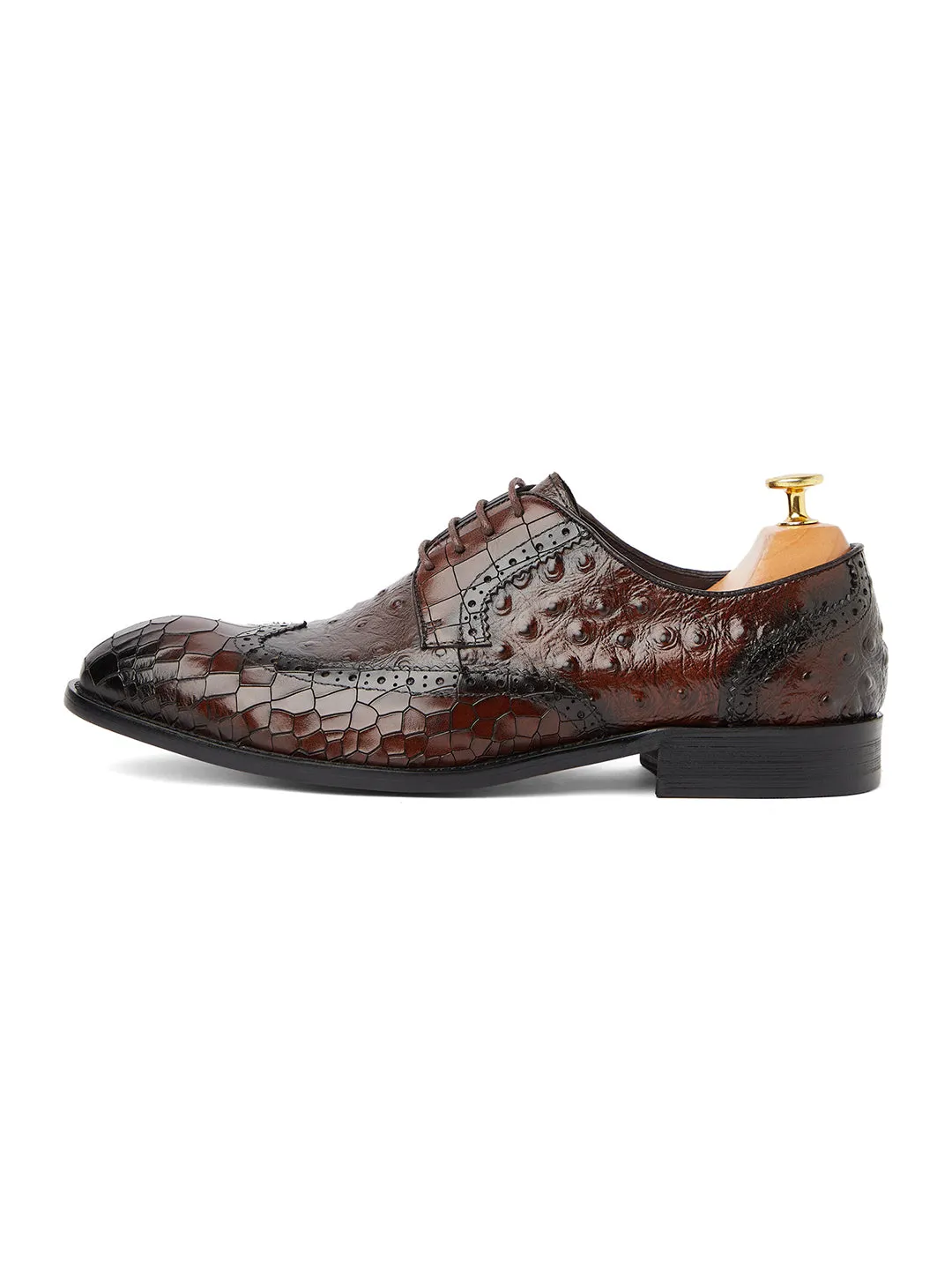 Ostrich Crocodile Oxford - Coffee